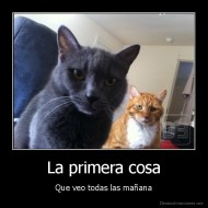 La primera cosa - Que veo todas las mañana