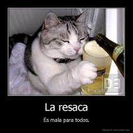 La resaca - Es mala para todos.