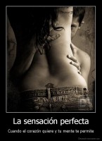 La sensación perfecta - Cuando el corazón quiere y tu mente te permite