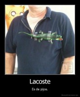 Lacoste - Es de pijos.
