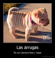 Las arrugas - No son siempre feas y viejas