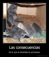 Las consecuencias - De lo que te divertiste en primavera.