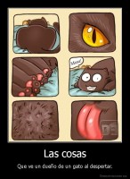Las cosas - Que ve un dueño de un gato al despertar.