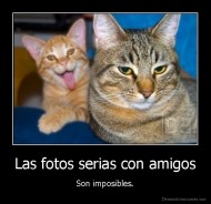 Las fotos serias con amigos - Son imposibles.