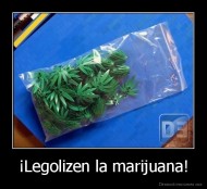 ¡Legolizen la marijuana! - 