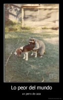 Lo peor del mundo - un perro de caza