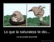 Lo que la naturaleza te dio... - no se puede esconder