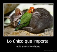 Lo único que importa  - es la amistad verdadera