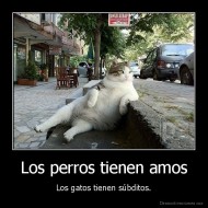 Los perros tienen amos - Los gatos tienen súbditos.