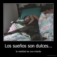 Los sueños son dulces... - la realidad es una mierda