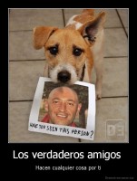 Los verdaderos amigos  - Hacen cualquier cosa por ti