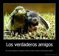 Los verdaderos amigos - No se preocupan por su aspecto, incluso si todo el mundo se está riendo de ellos