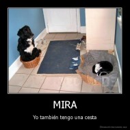 MIRA - Yo también tengo una cesta