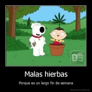 Malas hierbas - Porque es un largo fin de semana