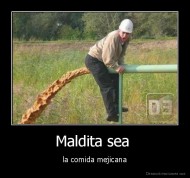 Maldita sea  - la comida mejicana