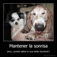 Mantener la sonrisa - pero, ¿puedo saber lo que estás haciendo?