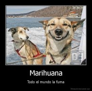Marihuana - Todo el mundo la fuma