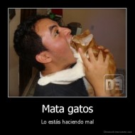 Mata gatos - Lo estás haciendo mal