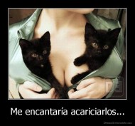 Me encantaría acariciarlos... - 