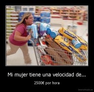 Mi mujer tiene una velocidad de... - 2500€ por hora