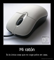 Mi ratón - Es la única cosa que no coge polvo en casa.