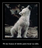 Mi voz busca el viento para tocar su oído. - 