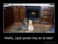 Misifú, ¿qué ponen hoy en la tele? - 