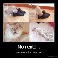 Momento... - de cambiar los calcetines