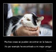Muchas cosas se pueden encontrar en la basura - ¡Yo por exemplo he encontrado a mi mejor amigo!