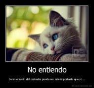 No entiendo - Como el ratón del ordeador puede ser más importante que yo...