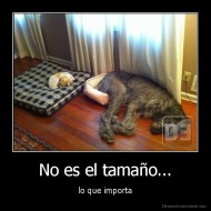 No es el tamaño... - lo que importa