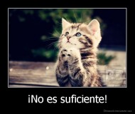 ¡No es suficiente! - 