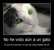 No he visto aún a un gato - Al que le importen lo que las ratas hablen de él.