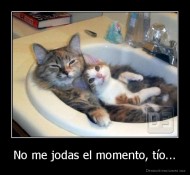 No me jodas el momento, tío... - 