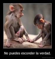 No puedes esconder la verdad. - 
