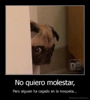 No quiero molestar, - Pero alguien ha cagado en la moqueta...