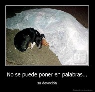 No se puede poner en palabras... - su devoción
