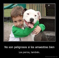 No son peligrosos si los amaestras bien - Los perros, también.