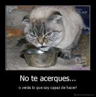 No te acerques... - o verás lo que soy capaz de hacer!
