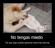 No tengas miedo  - De que algo pueda aparecer entre las piernas