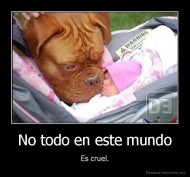 No todo en este mundo - Es cruel.