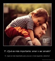 P: ¿Qué es más importante: amar o ser amado? - R: ¿Qué es más importante para una ave: el ala izquierda o derecha?