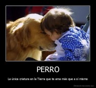 PERRO - La única criatura en la Tierra que te ama más que a sí mismo
