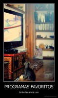 PROGRAMAS FAVORITOS - todos tenemos uno