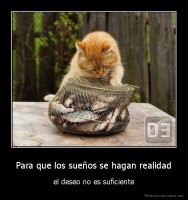 Para que los sueños se hagan realidad - el deseo no es suficiente
