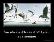 Para sobrevivir, debes ser el más fuerte... - o el más inteligente