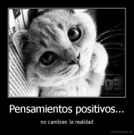 Pensamientos positivos... - no cambian la realidad