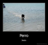 Perro - Jesús