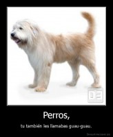 Perros, - tu también les llamabas guau-guau.