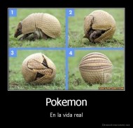 Pokemon - En la vida real